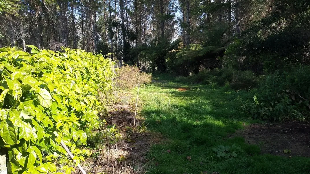 G28 rest in peace marshall our little boy 28 july 2018 (2)